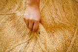 Corner detail of braided jute rug edge