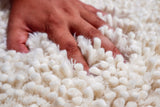 Ivory shag rug styled in a living room setting
