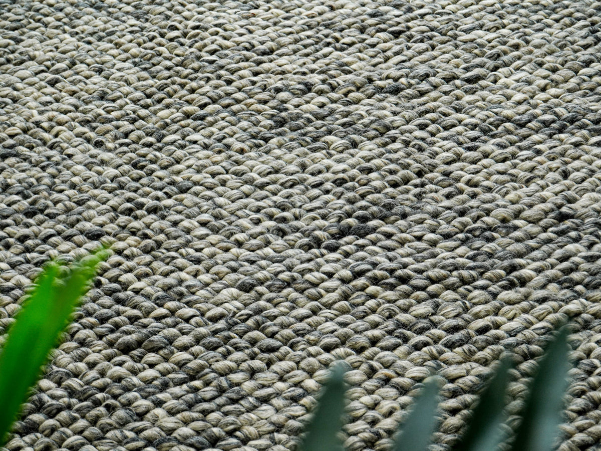 Gray Cashew Loops — Wool rug styled in a living room, with textured loops and green foliage in the foreground