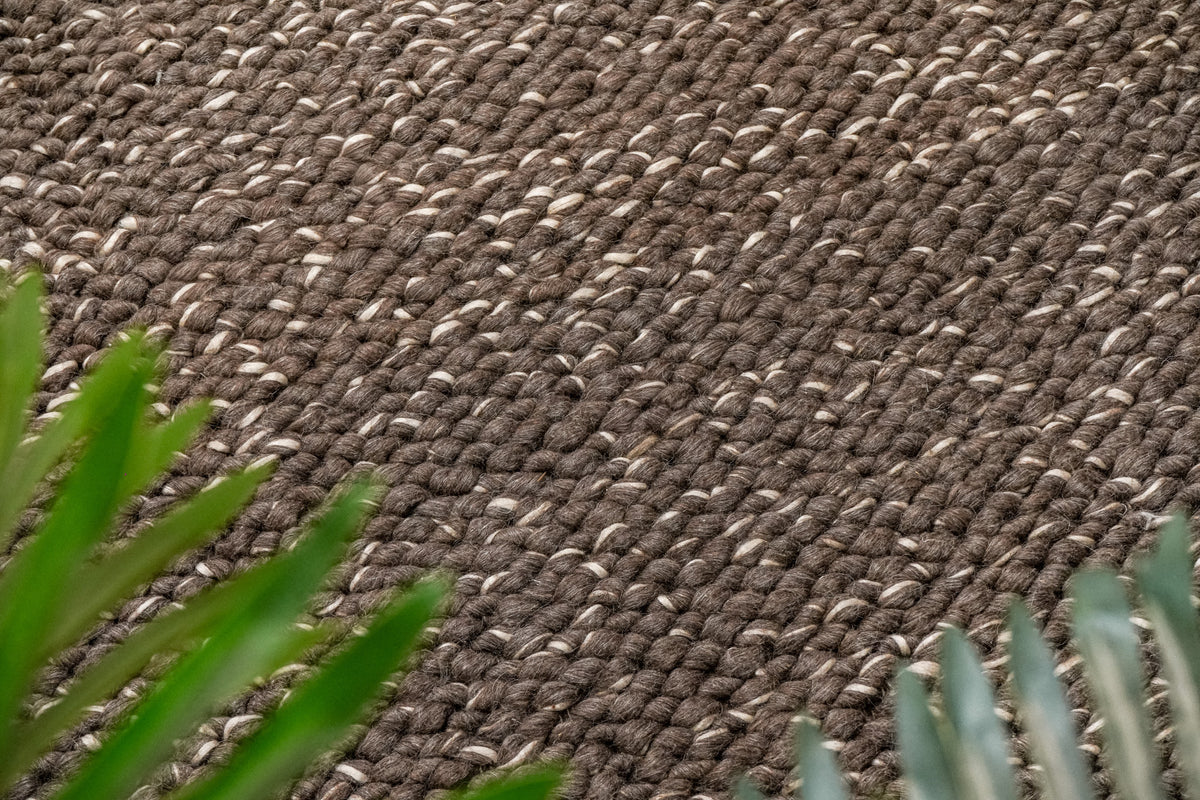 Cashew Loops — brown wool rug with ivory accents, framed by green leaves in the foreground