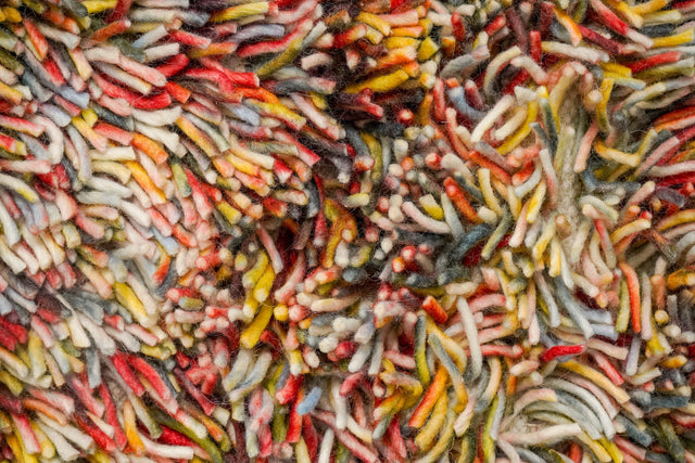 Rainbow shag rug styled in a living room