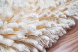 Full room view with ivory shaggy wool rug