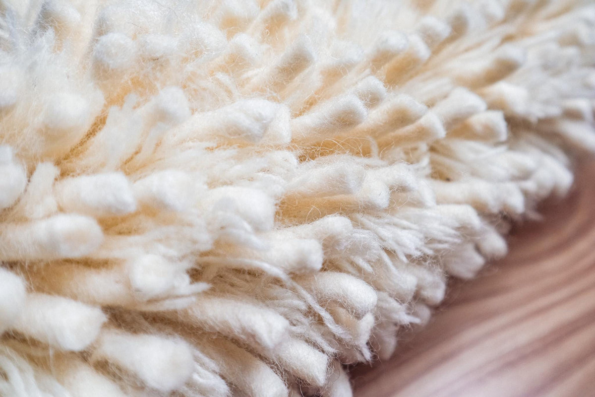 Full room view with ivory shaggy wool rug