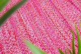 Multi-pink rag rug texture close-up