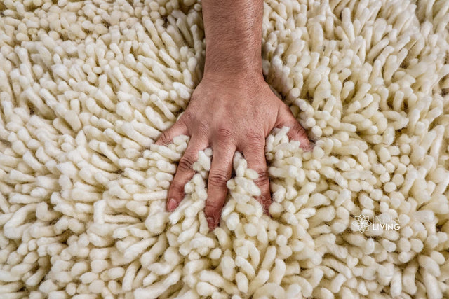 Natural ivory shag wool rug flat view showing plush texture