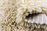 Ivory shag rug placed in a living room corner