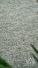 Wool Rug — video showing the pile and texture