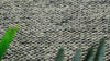 Cashew Loops — video showing the pile and texture