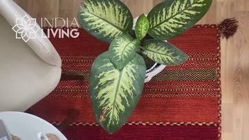 Red Kilim Rug 3X5, Indian Handwoven, Vintage, Aesthetic, Christmas Decor, Moroccan, Trending, Decorative stylish rug, Area rug, modern decor